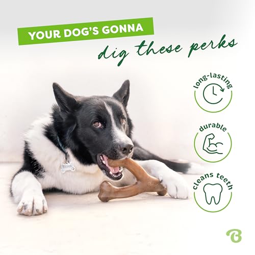 3 Pack Wishbone Dog Chew Toy for Aggressive Chewers (3 Pack - Medium)