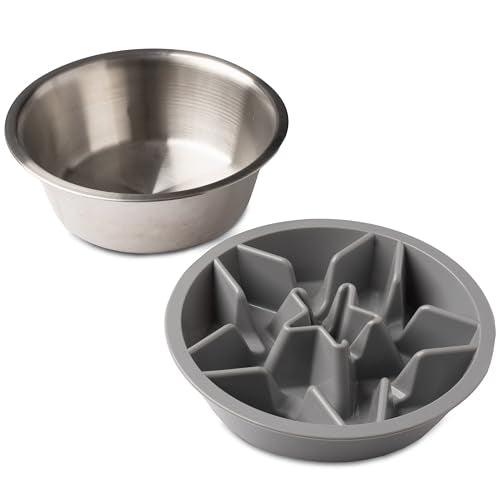 2 Pack Slow Feeder Dog Bowls (2 Cup / Gray Bundle)