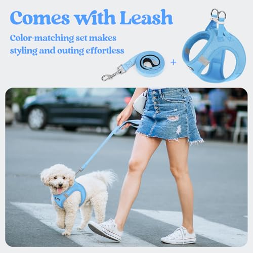 Dog Harness Small Sized and Leash Set (Blue / S (chest: 15.1 - 16.5"))
