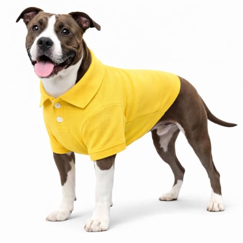 Basic Dog Polo Shirts Premium Cotton (XL (-35lbs) / Yellow)