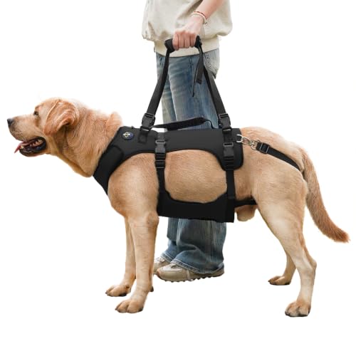 Dog Lift Harness for Large Dogs (Black / L)