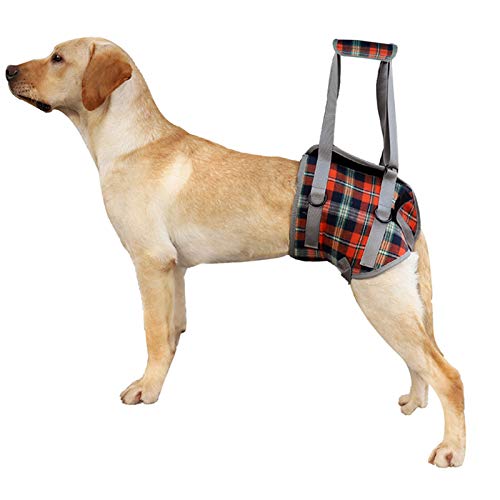 Dog Lift Harness (Small / Hind Legs-Orange)