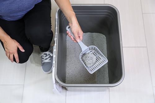 Enclosed Cat Litter Box with Hinged Lid (1 Count (Pack of 1) / Gray)