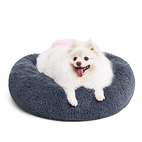 Orthopedic Dog Bed Comfortable Donut Cuddler Round Pet Beds Ultra Soft Washable Dog and Cat Cushion Bed (S(23’’x 23’’) / Dark Gray)