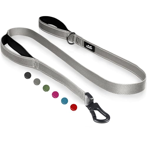 5FT 1IN Heavy Duty Dog Leash for Large Dogs with 2 Padded Handles (Grey / 1 in x 5 ft)
