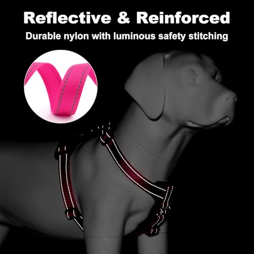 No Pull Dog Harness with Leather Accents (M / Hot Pink)