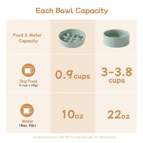 Elevated Slow Feeder Dog Bowls (Light Green)