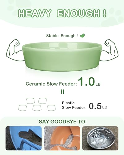 Ceramic Slow Feeder Dog Bowls Small Breed (S-0.6 Cups / 04-Green)