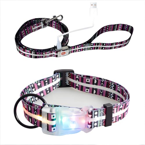 Light Up LED Dog Leash and LED Dog Collar Set USB Rechargeable Waterproof (Bohemian purple / 1.5m Leash+10-25in Collar Can be Crop)