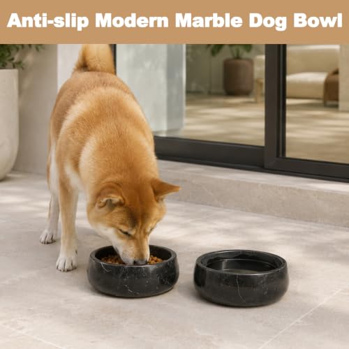 Black Marble Dog Bowl (Black)