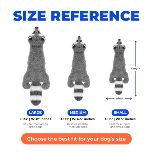 2-in-1 Stuffless Squeaky Dog Toy - Raccoon, Medium (Grey/Raccoon / Medium)