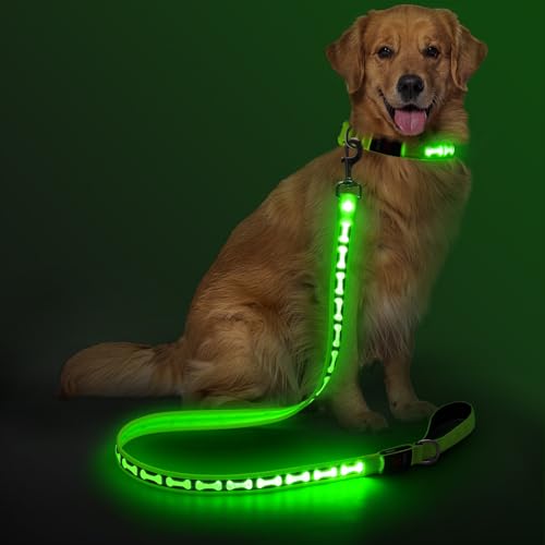 Light Up Dog Leash (Green)