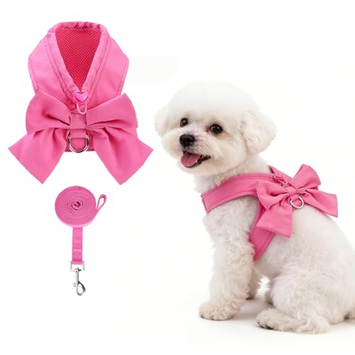 Small Dog Harness and Leash Set (Fuchsia / M (Chest Girth: 16.1"-18.9"))