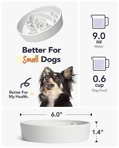 Ceramic Slow Feeder Dog Bowls Small Breed (Angle White / S-0.6 Cups)