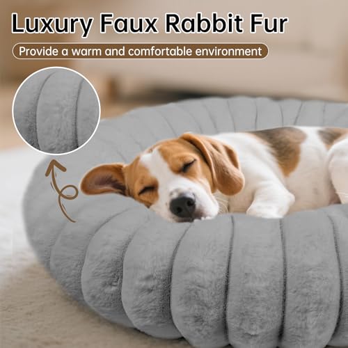 Donut Small Dog Bed Round Calming Kitten & Puppy Bed (Grey / XS(20*20*6))