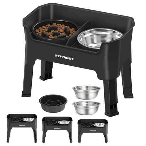 Elevated Dog Bowls for Small Dogs (Black / Small)