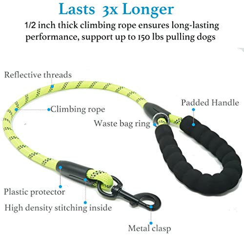 Double Dog Leash (Green / Large)