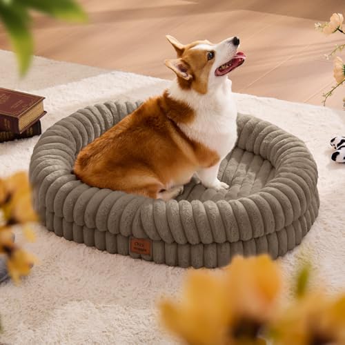 Orthopedic Dog Bed (Taupe / L(35*28*7))