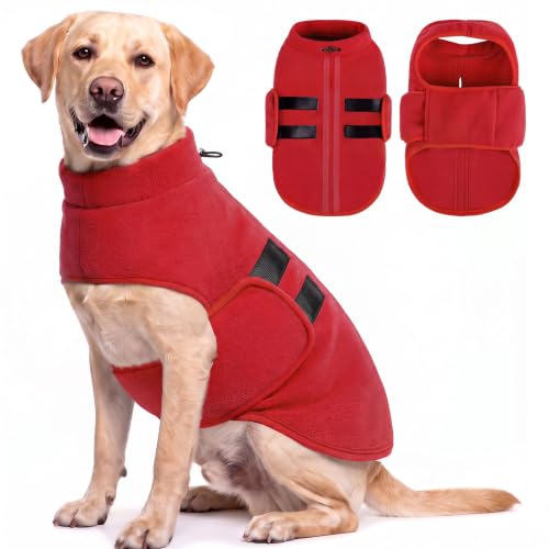 XL Dog Sweater (Red / X-Large)
