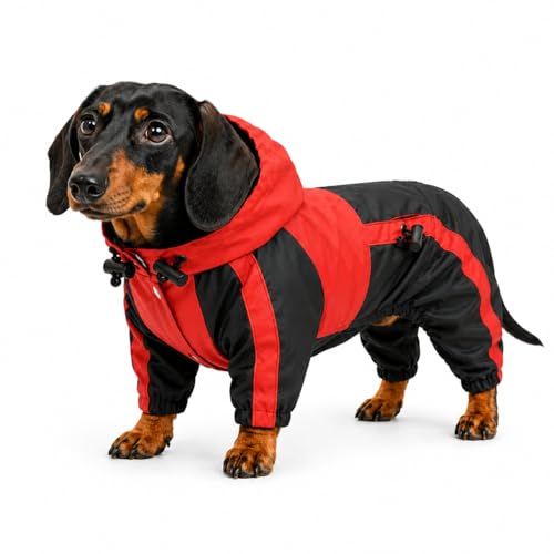 Welsh Corgi Dog Hooded Raincoat (D-M (for Dachshund/Corgi) / Red)