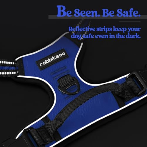 Dog Harness No Pull for Small Dogs with 2 Leash Clips (Small / Dazzling Blue)