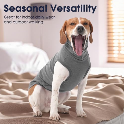 Small Dog Sweater (Medium / Grey)