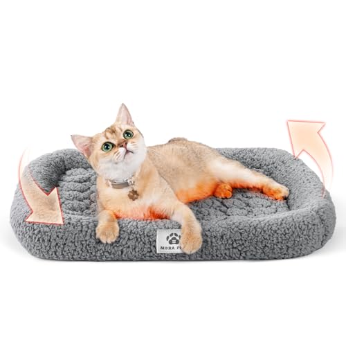 Self Warming Cat Bed Self Heating Pet Pad with Bolster and Foam (20"L x 17"W x 3"Th / Grey)