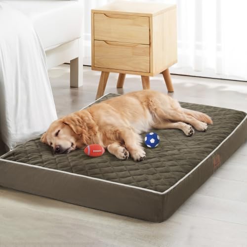 Orthopedic Waterproof Extra Large Senior Dogs Bed for Comfy Sleep (Dark Green / 42"L x 30"W x 4"Th)