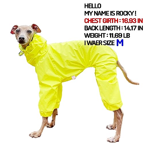 D Doggy Star Italian Greyhound Raincoat Waterproof Jacket Windbreaker Clothes Whippet for Dog (XL / Raincoat Yellow)