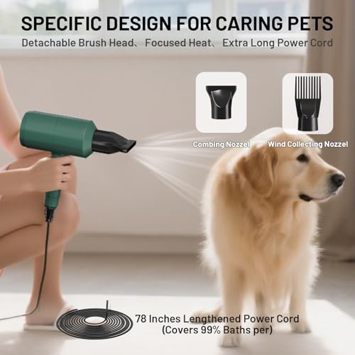 Dog Cat Hair Dryer for Medium
