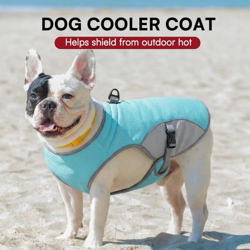Cooling Vest for Extra (Blue / XXX-Large)