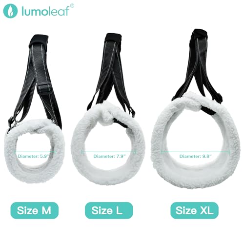 Dog Lift Harness Sling for Back Legs (Medium / Black)