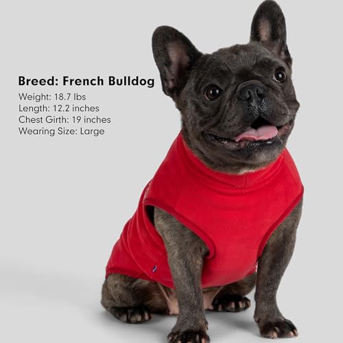 Fleece Dog Sweater (Large / Red)