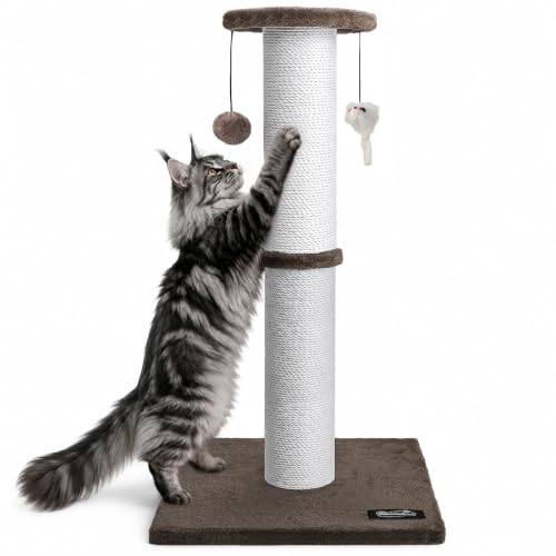 34 Inch Tall Cat Scratching Post for Large Cats (Brown)
