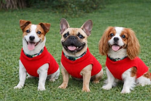Dog Fleece Vest Sweater with Leash Ring (XXL (25-35lbs) / Red)