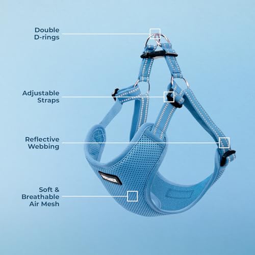 Voyager Step in Flex Adjustable Dog Harness (Harness (Baby Blue) / XL)