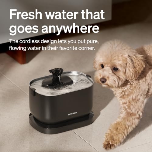 Small Dog Water Fountain (Black / 2.5 L)