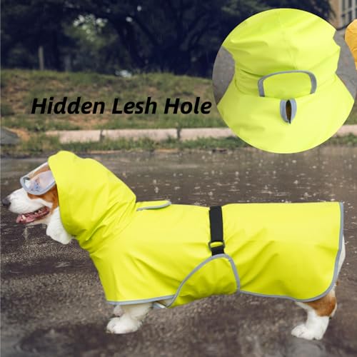 Dog Rain Jacket with Hood for Small Pet (Light Green / X-Small)