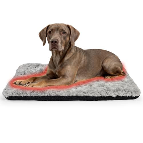Self Warming Cat Bed Indoor (39x27 IN / Grey)