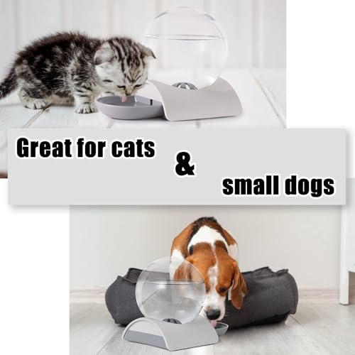Pet Water Dispenser