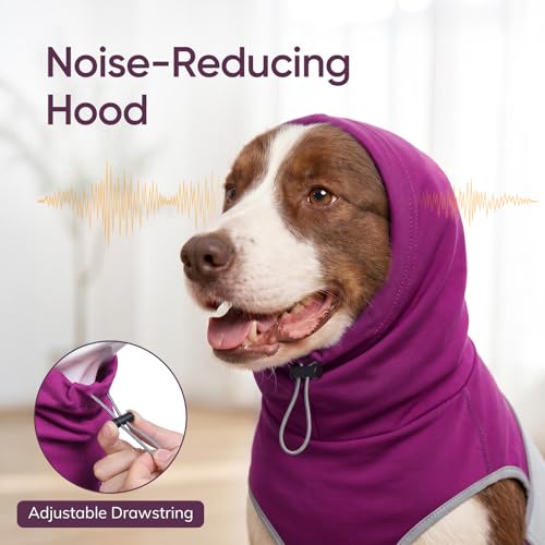 Dog Thunder Vest (Purple / M)