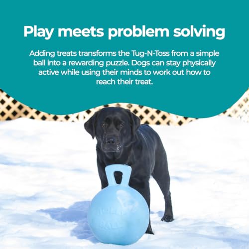 Tug-n-Toss Heavy Duty Dog Toy Ball with Handle, 10 Inches/X-Large, Blueberry for All Breed Sizes (Blueberry / XL (10 in))