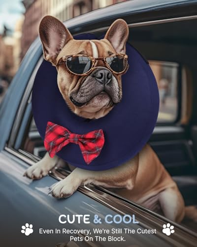 Inflatable Dog Cone (Bow Tie / L(15"-20"))