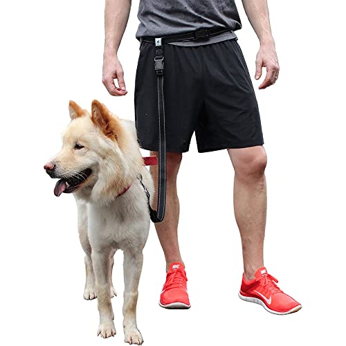 Hands Free Dog Leash - PetSolution