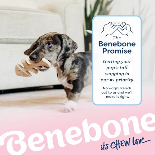 Puppy Fishbone Dog Chew Toys (Puppy (2-Pack))