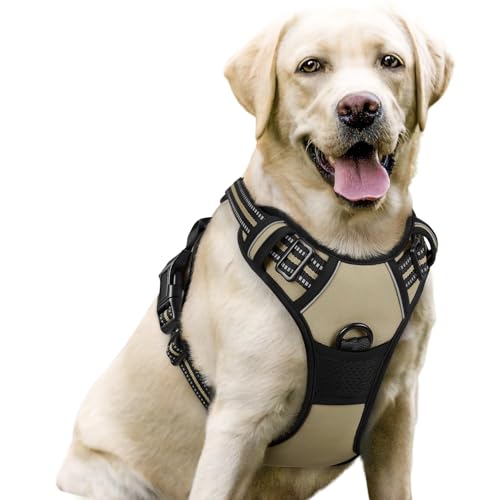 Dog Harness No Pull for Large Dogs with 2 Leash Clips (Large / Beige)