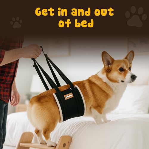 Dog Lift Harness (Small (S))