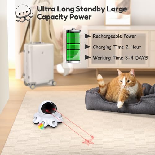 Cat Laser Toy (Cool Black*1)