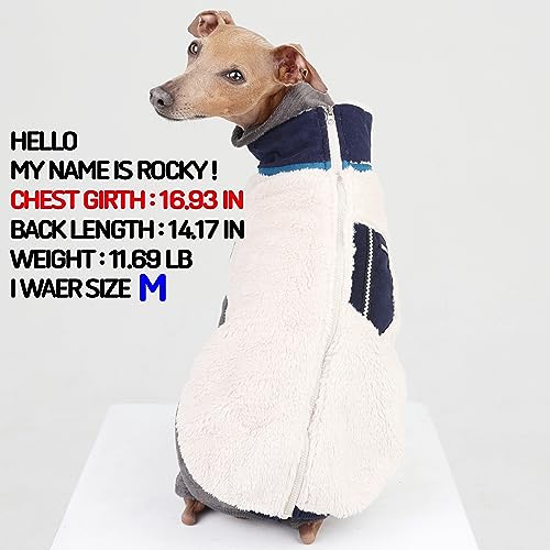 D Doggy Star Italian Greyhound Warm Fleece Zip (M / Zipup Navy)