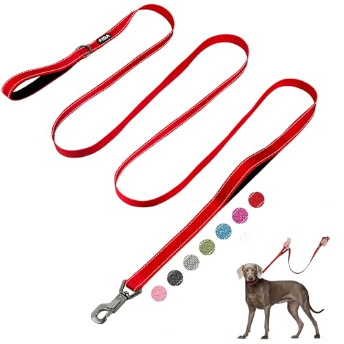 10 FT Heavy Duty Dog Leash (10 Feet (Pack of 1) / Red)